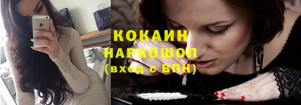 прущий лед Вяземский