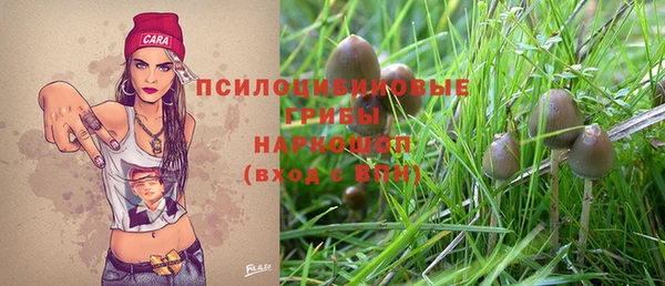 прущий лед Вяземский