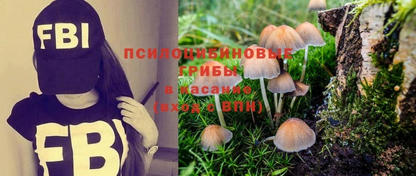 прущий лед Вяземский
