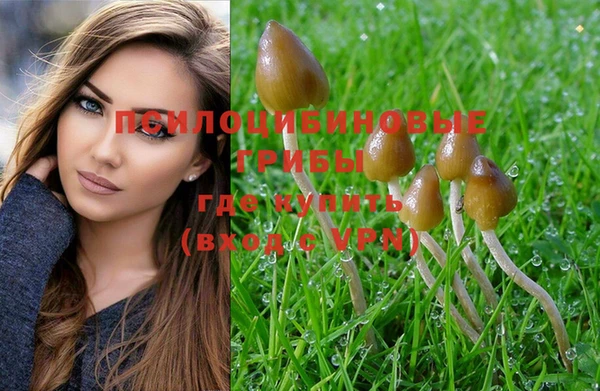 гашишное масло Горняк