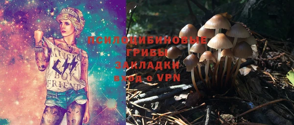 прущий лед Вяземский