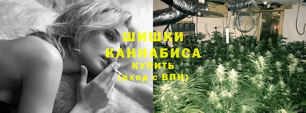 МДПВ Волоколамск