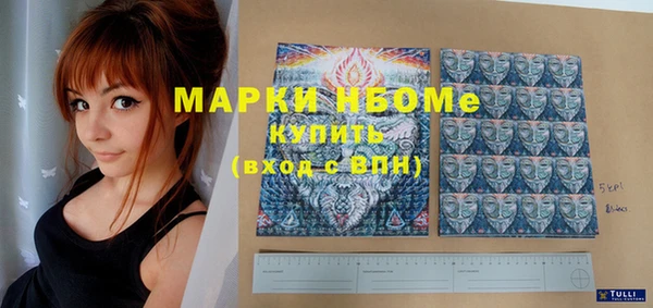 прущий лед Вяземский
