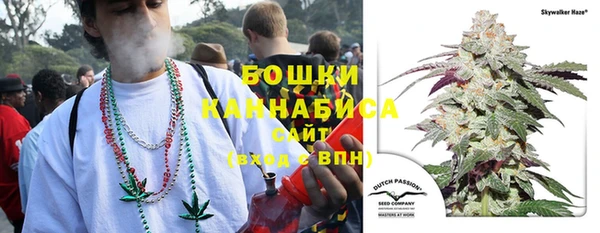 прущий лед Вяземский
