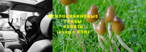 первитин Володарск