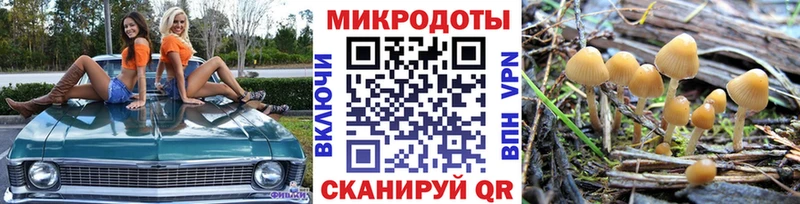 купить наркотик  Жердевка  Галлюциногенные грибы Cubensis 
